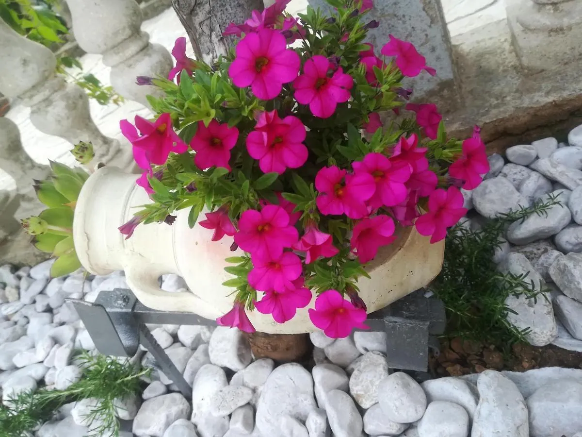 Apartment Apartman Pelcic,With Wifi And Free Parking Kostrena