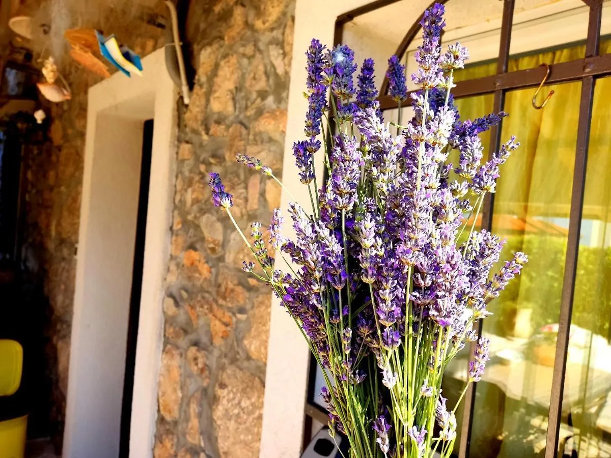 Apartman Pelcic,With Wifi And Free Parking Kostrena Apartment