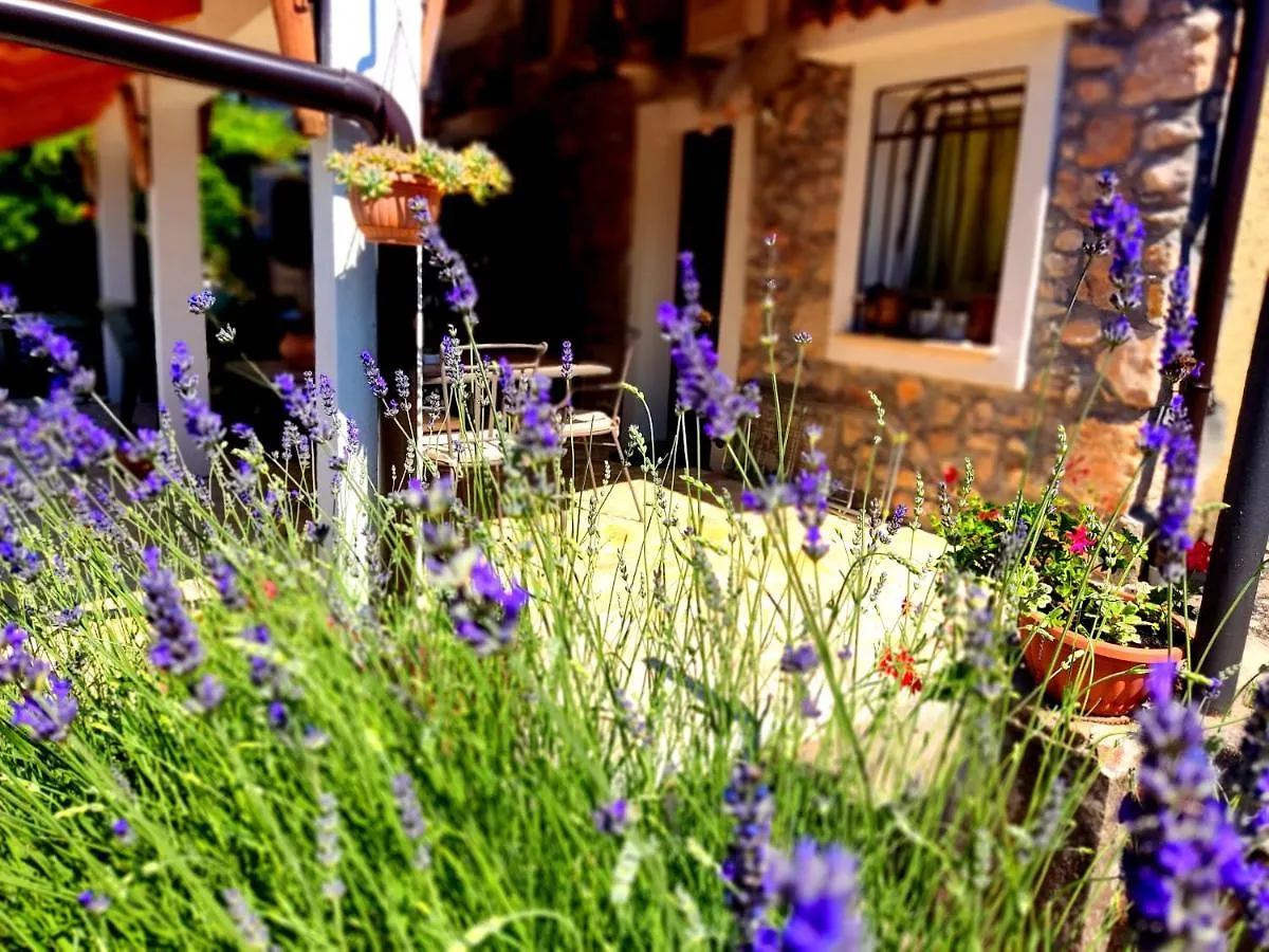Apartman Pelcic,With Wifi And Free Parking Kostrena Apartment