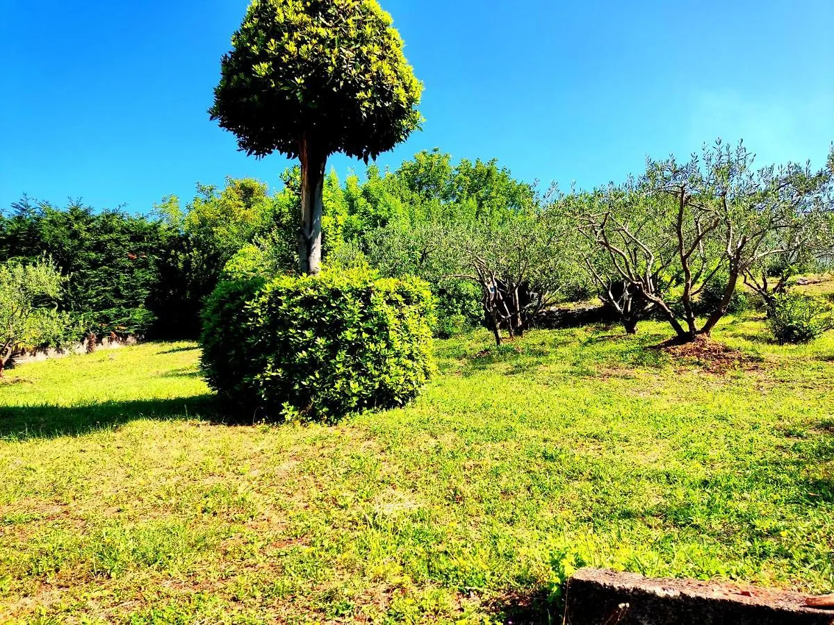 Apartment Apartman Pelcic,With Wifi And Free Parking Kostrena Croatia